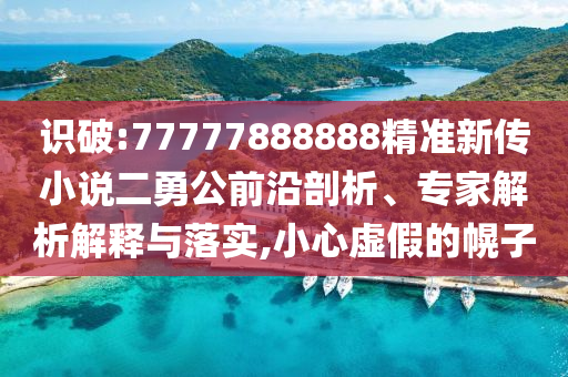 識(shí)破:77777888888精準(zhǔn)新傳小說(shuō)二勇公前沿剖析、專(zhuān)家解析解釋與落實(shí),小心虛假的幌子