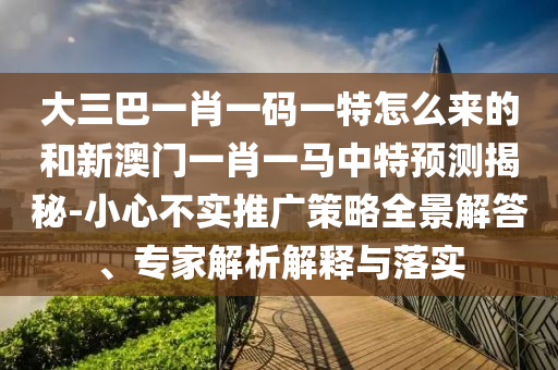 大三巴一肖一碼一特怎么來(lái)的射線檢測(cè)（RT）,超聲波檢測(cè)（UT）和新澳門一肖一馬中特預(yù)測(cè)揭秘-小心不實(shí)推廣策略全景解答、專家解析解釋與落實(shí)