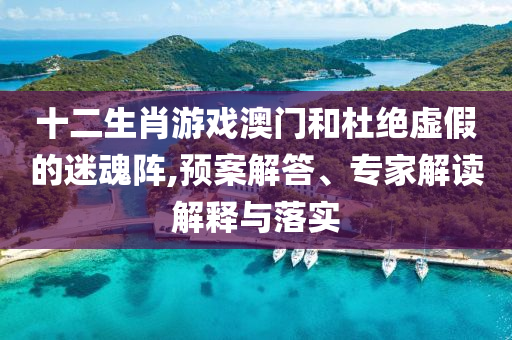 十二生肖游戲澳門和杜絕虛假的迷魂陣,預(yù)案解答、專家解讀解釋與落實